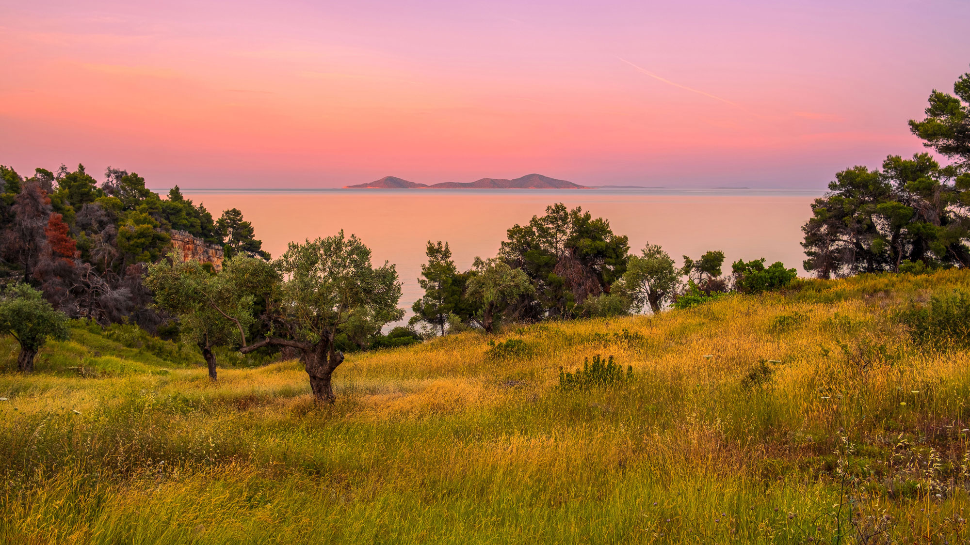 Stefano Mitta Portfolio