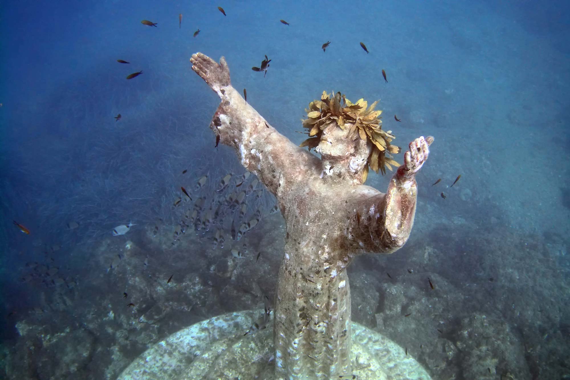 Scuba Diving in Portofino AMP